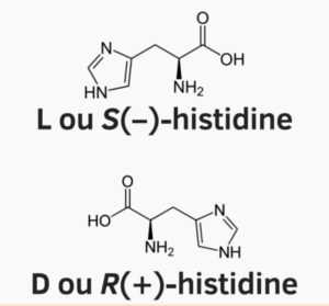 Les deux énantiomères de l'histidine