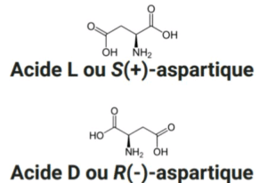 Les deux énantiomères de l'acide aspartique : L- et D-aspartique
