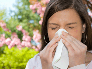 Symptômes de la rhinite allergique : congestion nasale, écoulement nasal, éternuements, larmoiement, démangeaisons des narines, ...