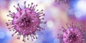cytomégalovirus