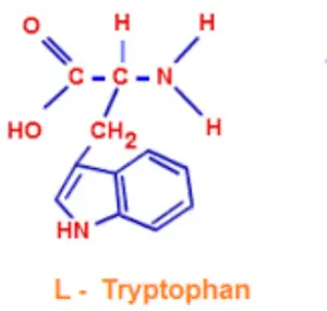 tryptophane