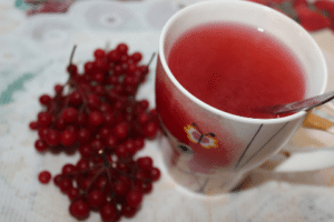 cranberry - canneberge